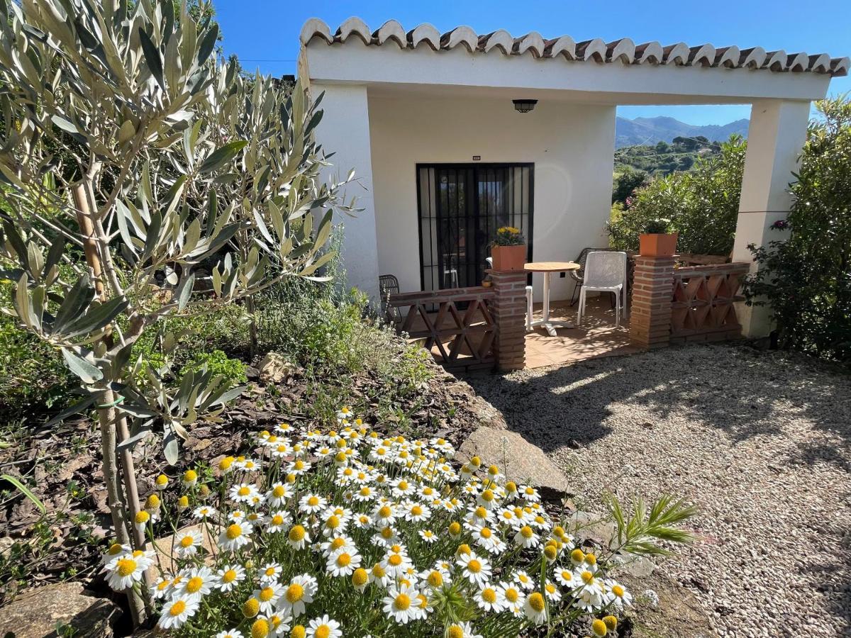 Casa Del Limon Canillas de Aceituno Exterior photo